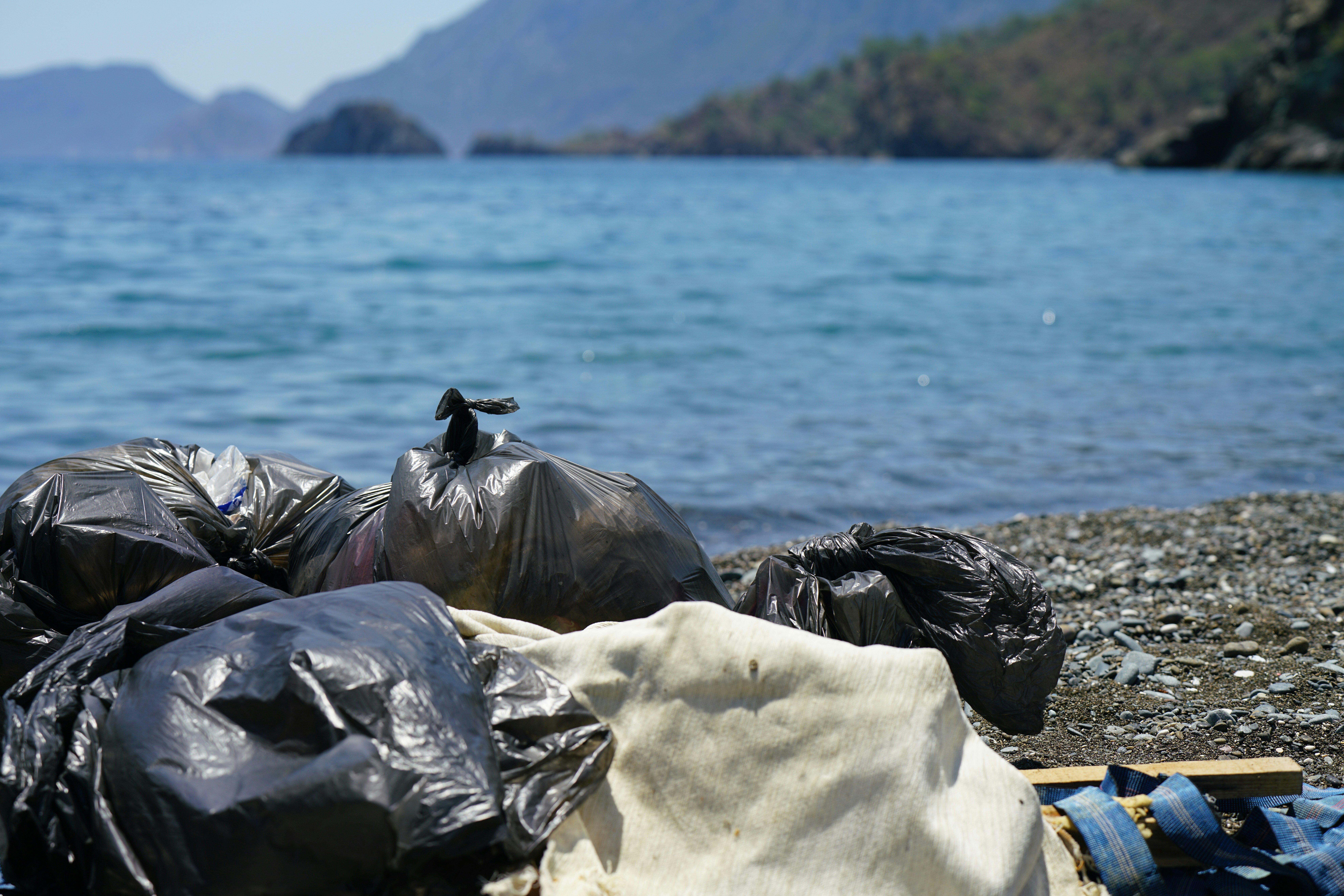Waste Management