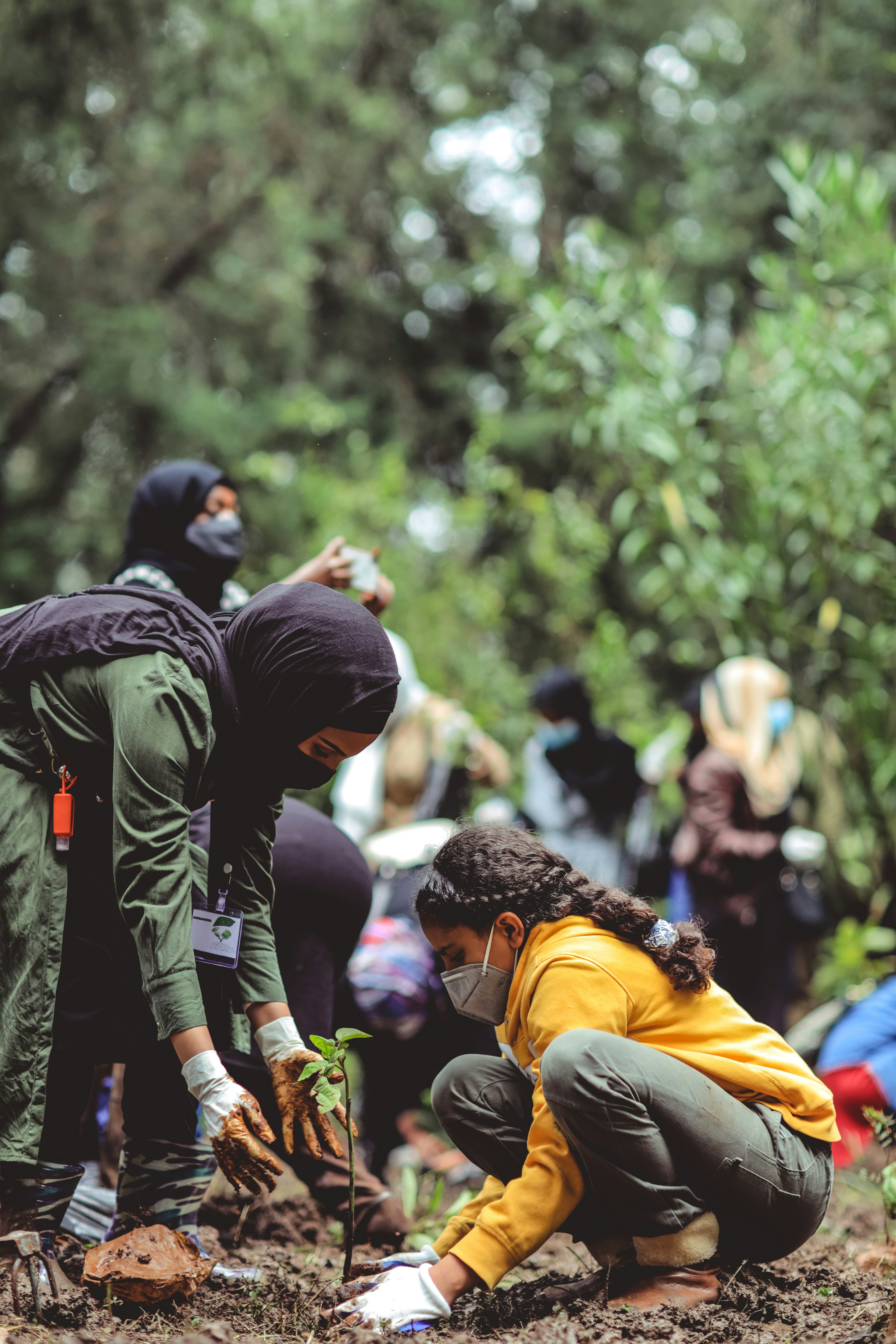 Community Planting