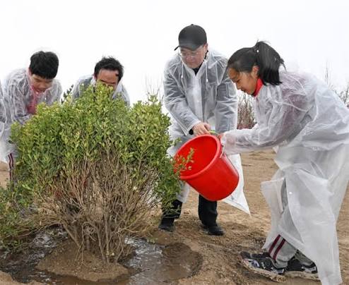 Tree planting activity